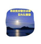 穏やかな海のような月祈り月影の舟祝福夜空（個別スタンプ：25）