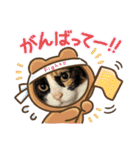 ★毎日使える★ふくりんスタンプ（個別スタンプ：19）