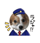 Lovely Nakajima family（個別スタンプ：3）