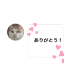 Lovely Nakajima family（個別スタンプ：17）