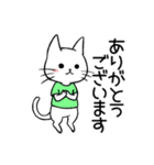 Tシャツ猫（個別スタンプ：3）