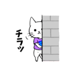 Tシャツ猫（個別スタンプ：4）