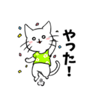 Tシャツ猫（個別スタンプ：13）