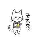 Tシャツ猫（個別スタンプ：20）