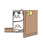 ぴちょにゃんず 日常②（猫の日）（個別スタンプ：26）