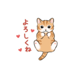 動く☆猫たちのスタンプ2（個別スタンプ：5）