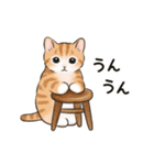 動く☆猫たちのスタンプ2（個別スタンプ：18）
