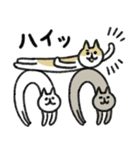 シュッとしたネコ ♡猫の日2023♡（個別スタンプ：2）