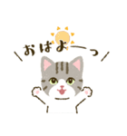 猫たちと日々の言葉（個別スタンプ：2）