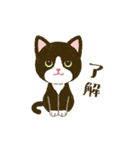 猫たちと日々の言葉（個別スタンプ：8）