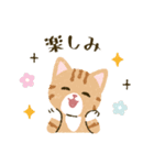 猫たちと日々の言葉（個別スタンプ：19）