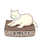 ふんわ～り猫スタンプ 2（個別スタンプ：11）