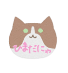 ねこのお顔に猫語！？（個別スタンプ：20）