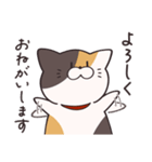 かんたんな猫（個別スタンプ：4）