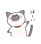 かんたんな猫（個別スタンプ：6）