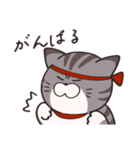 かんたんな猫（個別スタンプ：18）