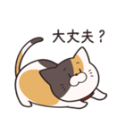 かんたんな猫（個別スタンプ：19）