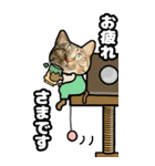 キジトラ猫BIGスタンプ6（個別スタンプ：15）