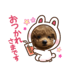 可愛いうちのマロンくん（個別スタンプ：3）