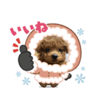 可愛いうちのマロンくん（個別スタンプ：5）