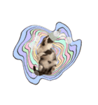 はちわれねこアグちゃんスタンプ3（個別スタンプ：7）