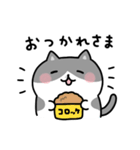 【ねこ】くーとちょこのスタンプ1（個別スタンプ：1）