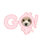 ぽぽちゃんだよ❤️（個別スタンプ：1）