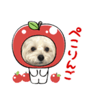 ぽぽちゃんだよ❤️（個別スタンプ：13）