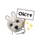 ぽぽちゃんだよ❤️（個別スタンプ：14）