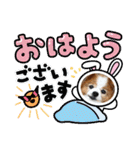 ぱぴぱぴパピヨン111（個別スタンプ：2）
