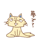 毎日やる気のない猫と犬（個別スタンプ：21）