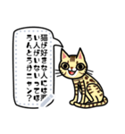 猫16種 メッセージスタンプ（個別スタンプ：3）