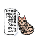 猫 24種メッセージスタンプ（個別スタンプ：10）