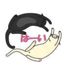 ワンとニャンとばぁばの日常（個別スタンプ：16）