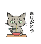 ラーメンを食べる猫 [修正版]（個別スタンプ：11）