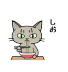 ラーメンを食べる猫 [修正版]（個別スタンプ：15）