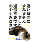 ふわふわ三毛ネコの大きなスタンプ【長文】（個別スタンプ：5）