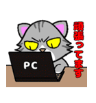 ちょっと目つきの悪い猫①（個別スタンプ：8）