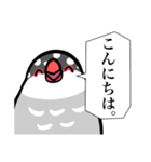 文鳥YEAH（個別スタンプ：1）