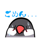 文鳥YEAH（個別スタンプ：4）