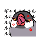 文鳥YEAH（個別スタンプ：9）