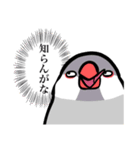 文鳥YEAH（個別スタンプ：11）