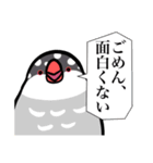 文鳥YEAH（個別スタンプ：31）