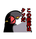 文鳥YEAH（個別スタンプ：33）