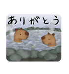 カピバラ温泉スタンプ（個別スタンプ：2）