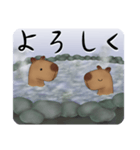 カピバラ温泉スタンプ（個別スタンプ：6）