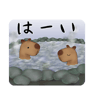 カピバラ温泉スタンプ（個別スタンプ：8）