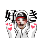 使えるニャチジョウstamp4（個別スタンプ：2）