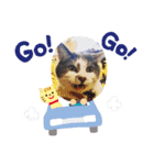 使えるニャチジョウstamp4（個別スタンプ：6）