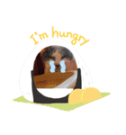 使えるニャチジョウstamp4（個別スタンプ：13）
